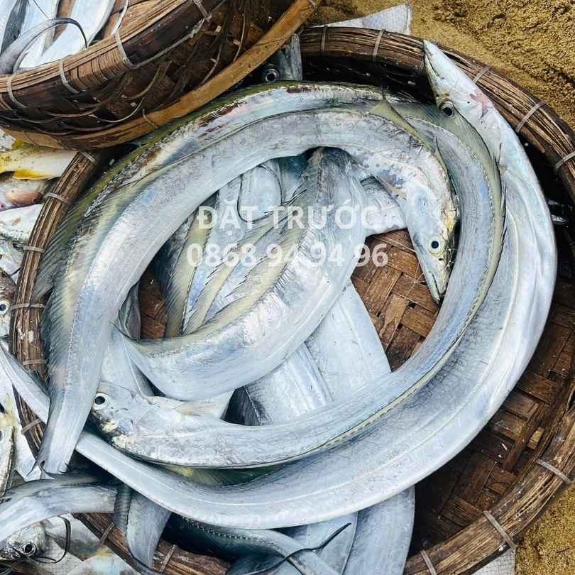 cá hố tươi ngon